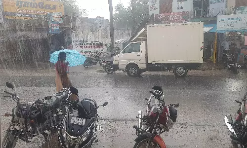 பலத்த காற்றுடன் திடீர் மழை