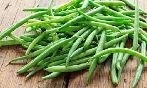 வரத்து அதிகரிப்பால்பீன்ஸ் விலை கிலோவிற்கு ரூ.10 குறைந்தது