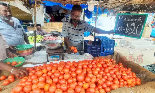 ராமநாதபுரத்தில் தக்காளி கிலோ ரூ.120-க்கு விற்பனை