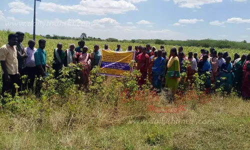 நெய்வயல் கிராமத்தில் வயல் தின விழா