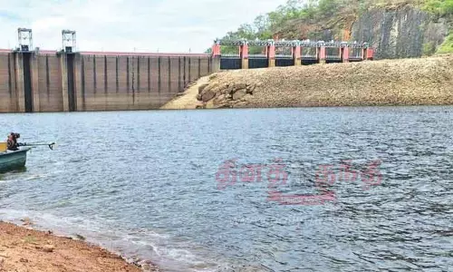 நெல்லை  மாவட்ட அணைகள் நீர்மட்டம் மேலும் உயர்வு