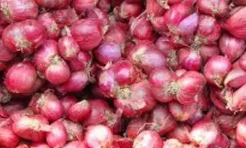 சின்னவெங்காயம்  கிலோ ரூ.140-க்கு விற்பனை