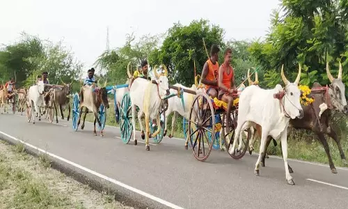 எப்போதும்வென்றானில் மாட்டுவண்டி பந்தயத்தில் ஓடையில் மாட்டுவண்டி கவிழ்ந்து பந்தய மாடு பலி எப்போதும்வென்றானில் மாட்டுவண்டி பந்தயத்தில் ஓடையில் மாட்டுவண்டி கவிழ்ந்து பந்தய மாடு பலி