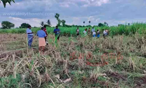 பெரியாத்துகுறிச்சி கிராமத்தில் புலிகள் நடமாட்டம்?
