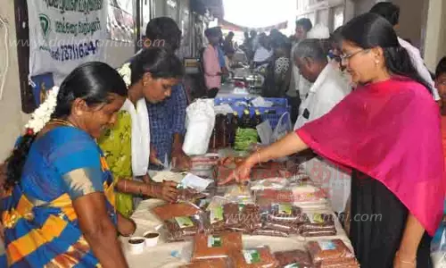 பாரம்பரிய விதை திருவிழா பாரம்பரிய விதை திருவிழா