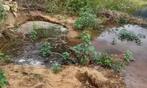 தாமரைக்குளம் கரையில் விரிசல்