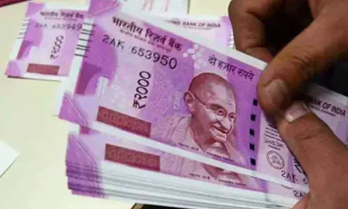 தேசிய தோட்டக்கலை இயக்க திட்டத்திற்கு ரூ.2.79 கோடி ஒதுக்கீடு-துணை இயக்குனர் தகவல்