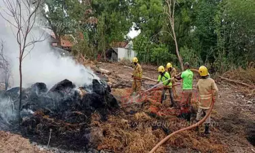 வைக்கோல் படப்பு தீயில் எரிந்து நாசம்