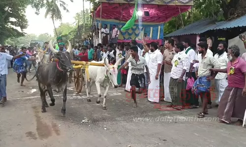 மாடு, குதிரை வண்டி பந்தயம்