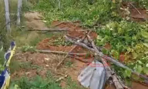 ஆசனூர் அருகே காட்டு யானைகள் அட்டகாசம் ஆசனூர் அருகே காட்டு யானைகள் அட்டகாசம்