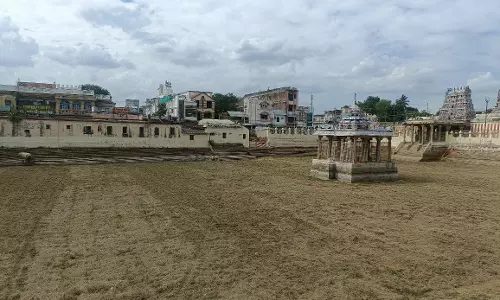 பொற்றாமரை குளத்தில் செடி, கொடிகளை அகற்றி சுத்தம் செய்யும் பணி பொற்றாமரை குளத்தில் செடி, கொடிகளை அகற்றி சுத்தம் செய்யும் பணி