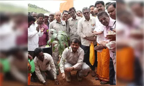 பசுமையை வலியுறுத்தி 500 மரக்கன்றுகள் நடும் விழா