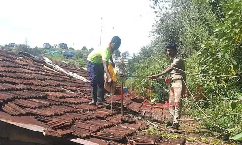 வீட்டிற்குள் புகுந்த பாம்பு பிடிபட்டது வீட்டிற்குள் புகுந்த பாம்பு பிடிபட்டது