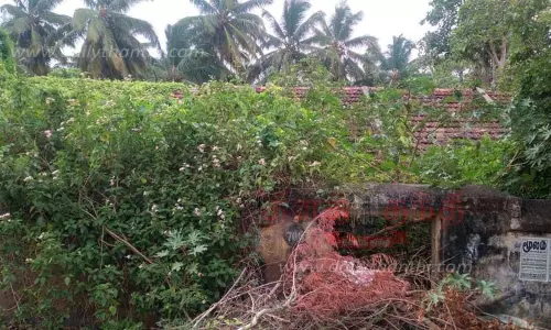 புதர் சூழ்ந்த பழைய பள்ளி கட்டிடம்