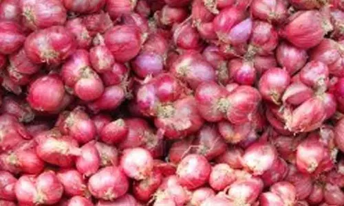 உச்சம் தொட்ட சின்ன வெங்காயம் விலை