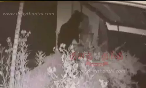 வீட்டின் கதவை திறக்க முயன்ற கரடி