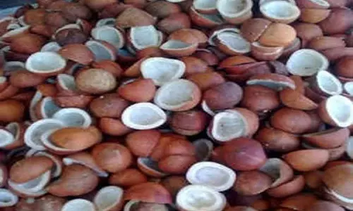 ஆனைமலையில் கொப்பரை தேங்காய் ஏலம்