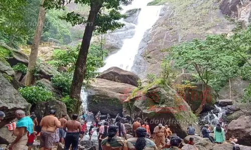 பாலருவியில் சுற்றுலா பயணிகள் குளிக்க அனுமதி பாலருவியில் சுற்றுலா பயணிகள் குளிக்க அனுமதி