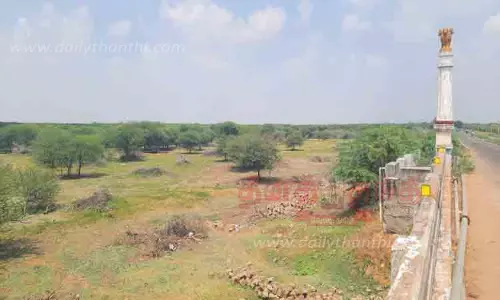 தண்ணீரின்றி வறண்ட ஆர்.எஸ்.மங்கலம் பெரிய கண்மாய் தண்ணீரின்றி வறண்ட ஆர்.எஸ்.மங்கலம் பெரிய கண்மாய்