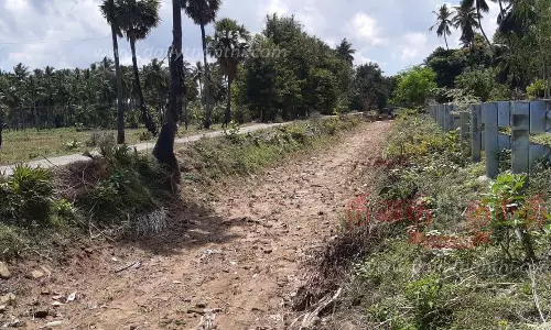 கடைமடை பகுதிக்கு தண்ணீர் வராததால் வறண்டு கிடக்கும் ஏரி, குளங்கள்