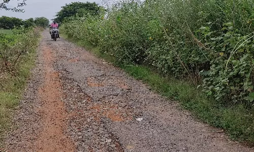 குறிச்சி-பாலத்தளி இணைப்பு சாலை சீரமைக்கப்படுமா? குறிச்சி-பாலத்தளி இணைப்பு சாலை சீரமைக்கப்படுமா?
