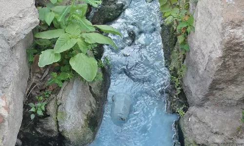 பட்டப்பகலில் கால்வாயில் பாய்ந்த சாயக்கழிவு நீர்