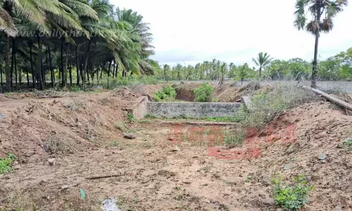 தள்ளிப்போகும் விதைப்பு  பணி