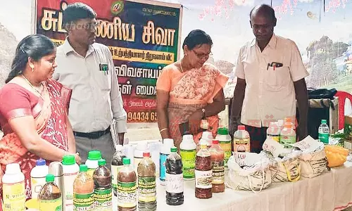 மாதேஅள்ளியில் உழவர் திருவிழா