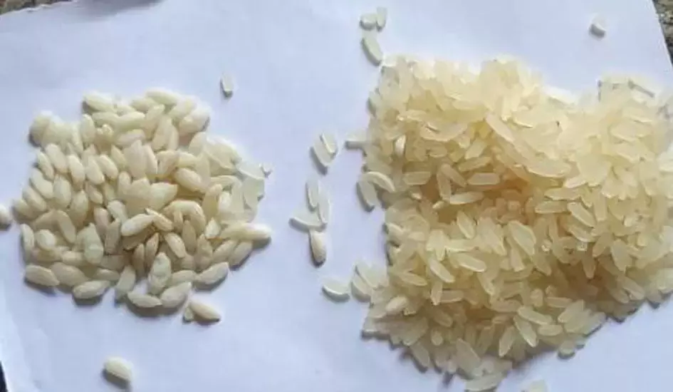 செறிவூட்டிய அரிசியால் பொதுமக்கள் அச்சப்பட தேவையில்லை