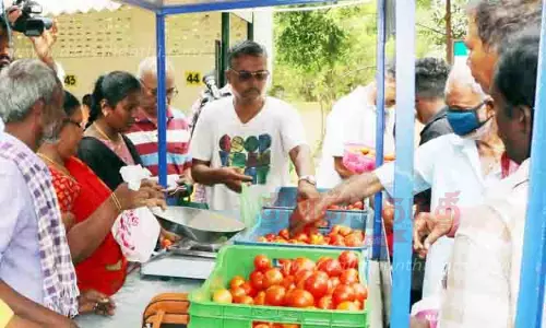 கே.கே.நகர், தென்னூர் உழவர் சந்தை உள்பட 4 இடங்களில் குறைந்த விலையில் தக்காளி விற்பனை