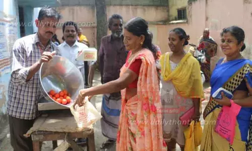 நெல்லையில் 15 ரேஷன் கடைகளில் தக்காளி விற்பனை தொடங்கியது