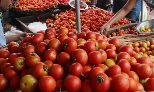 டெல்லி உள்ளிட்ட நகரங்களில் குறைந்த விலையில் தக்காளி விற்பனைக்கு மத்திய அரசு நடவடிக்கை