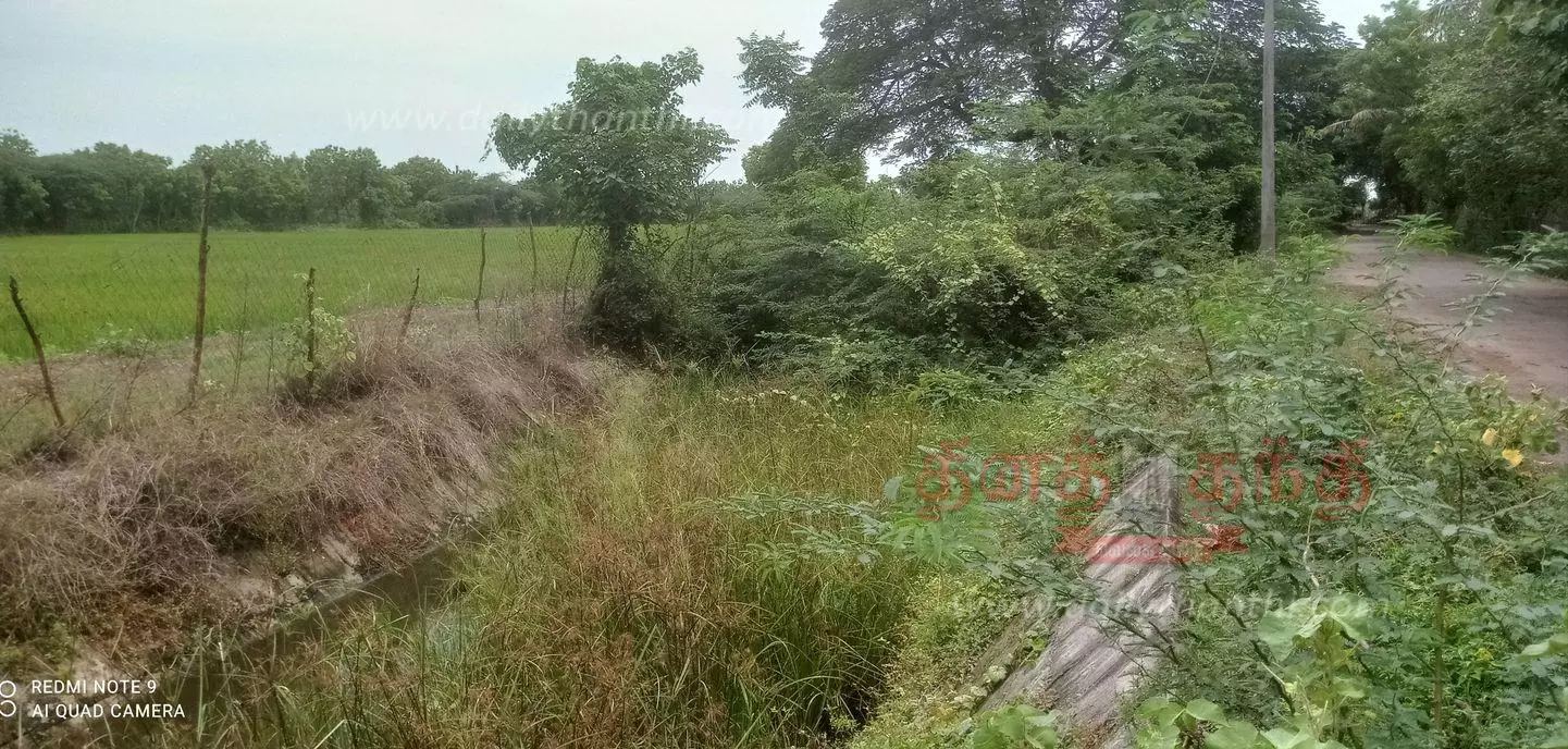  திருவாரூர்–அதங்குடி பாசன வாய்க்கால் தூர்வாரப்படுமா….?