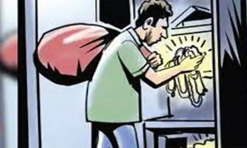 பூச்சி மருந்து அடிக்க சென்ற வீட்டில் 22 பவுன் நகை திருடிய தொழிலாளி கையும் களவுமாக பிடித்த உரிமையாளர்