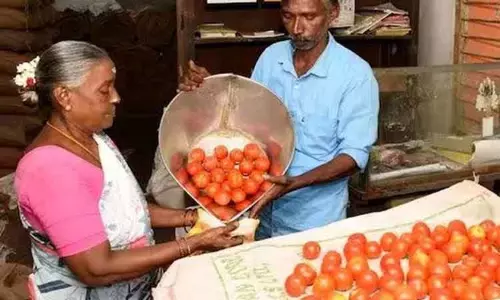 அமுதம் பல்பொருள் அங்காடிகளில் நாளை முதல் கொள்முதல் விலையில் பருப்பு, தக்காளி விற்பனை அமுதம் பல்பொருள் அங்காடிகளில் நாளை முதல் கொள்முதல் விலையில் பருப்பு, தக்காளி விற்பனை