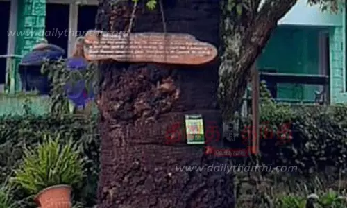 பழமை வாய்ந்த மரங்களை பற்றி அறிய கியூஆர் கோடு