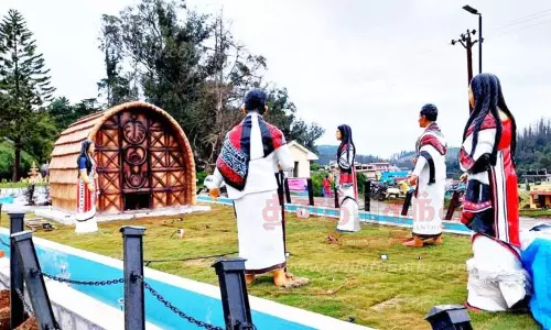 பழங்குடியின மக்கள், வனவிலங்குகளின் உருவச்சிலைகளுடன் ஜொலிக்கும் பூங்கா