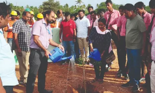 நான்கு வழிச்சாலையை பசுமைச்சாலையாக மாற்றும் திட்டம்