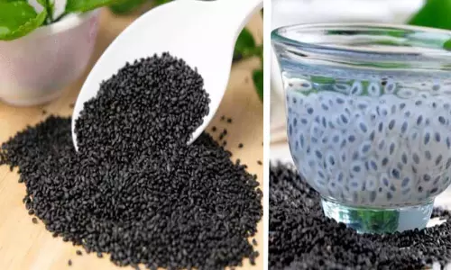 சப்ஜா விதைகள்