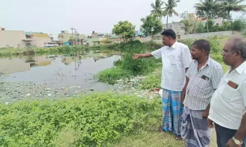 கோவில் குளத்தில் கழிவுநீர் கலக்கும் அவலம் கோவில் குளத்தில் கழிவுநீர் கலக்கும் அவலம்