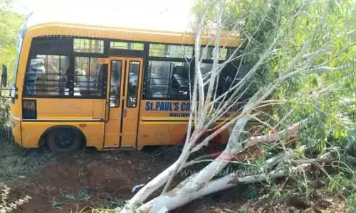 சிவகங்கை அருகே  கல்லூரி வேன் மோதி மரம் சாய்ந்தது; மாணவிகள் உள்பட 20 பேர் காயம்