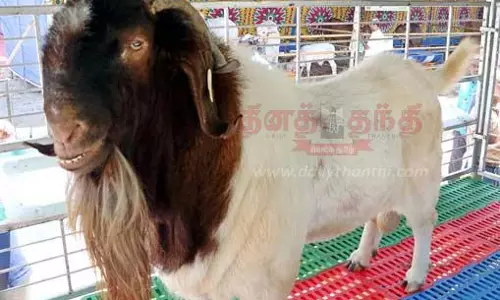 கோவை கொடிசியாவில் வேளாண் கண்காட்சி தொடக்கம்