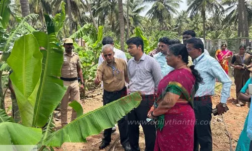 விவசாய நிலங்களில் கலெக்டர் ஆய்வு