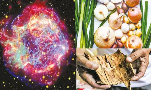 சூப்பர் நோவா தெரியுமா..? சூப்பர் நோவா தெரியுமா..?