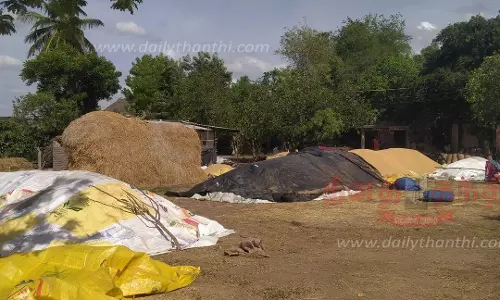 மின் இணைப்பு வழங்காததால் நெல் கொள்முதல் பணி பாதிப்பு