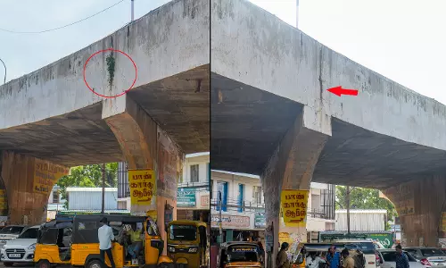 மேம்பாலத்தில் வளர்ந்திருந்த செடிகள் அகற்றம் மேம்பாலத்தில் வளர்ந்திருந்த செடிகள் அகற்றம்