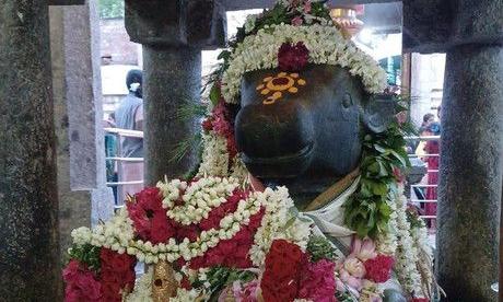 Pradosha worship at Thitakudy Vaidyanathaswamy temple is seen by a