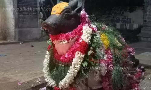 சனி பிரதோஷ வழிபாடு சனி பிரதோஷ வழிபாடு