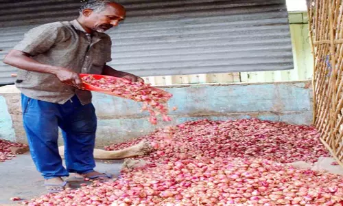 சின்ன வெங்காயம் விலை குறைந்தது