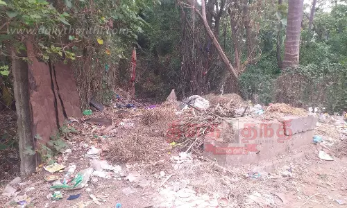 கன்னி பாசன வாய்க்காலை தூர்வார வேண்டும்